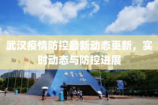 武汉疫情防控最新动态更新，实时动态与防控进展