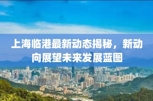 上海临港最新动态揭秘，新动向展望未来发展蓝图