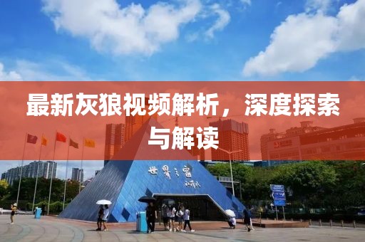 最新灰狼视频解析，深度探索与解读