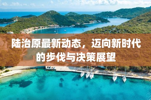 陆治原最新动态，迈向新时代的步伐与决策展望