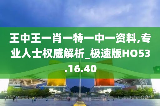 王中王一肖一特一中一资料,专业人士权威解析_极速版HO53.16.40
