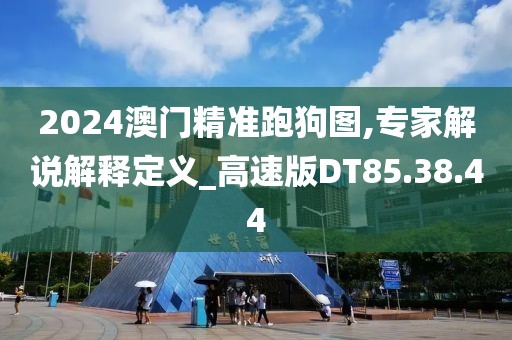 2024澳门精准跑狗图,专家解说解释定义_高速版DT85.38.44