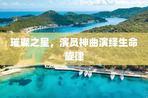 璀璨之星，演员神曲演绎生命旋律