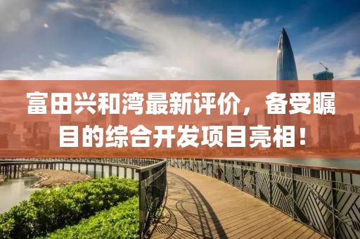 富田兴和湾最新评价，备受瞩目的综合开发项目亮相！