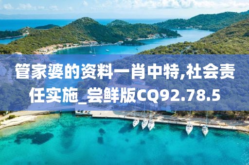 管家婆的资料一肖中特,社会责任实施_尝鲜版CQ92.78.5