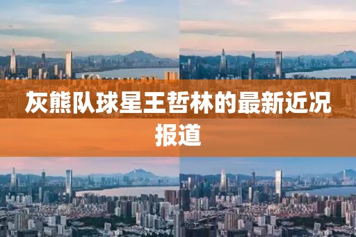 灰熊队球星王哲林的最新近况报道