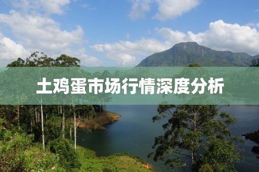 土鸡蛋市场行情深度分析
