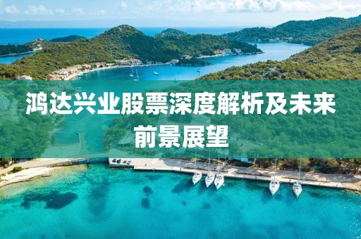 鸿达兴业股票深度解析及未来前景展望