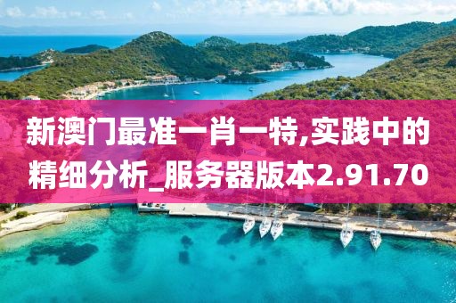 新澳门最准一肖一特,实践中的精细分析_服务器版本2.91.70