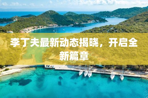 李丁夫最新动态揭晓，开启全新篇章
