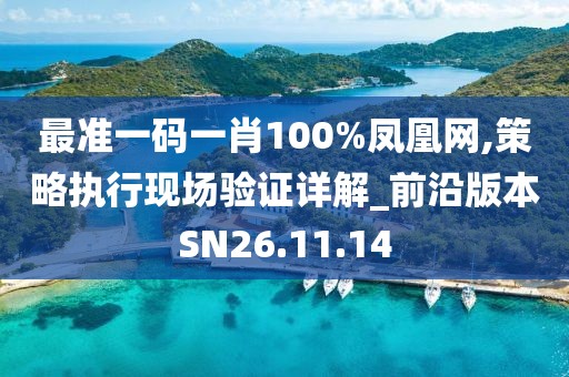 最准一码一肖100%凤凰网,策略执行现场验证详解_前沿版本SN26.11.14