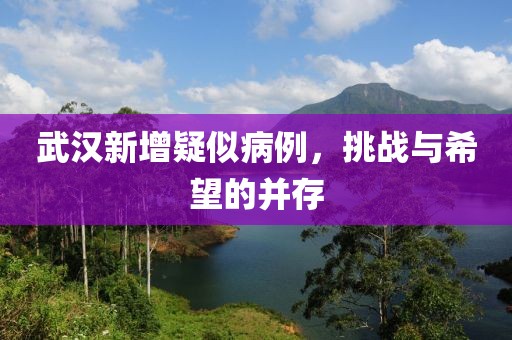 武汉新增疑似病例，挑战与希望的并存