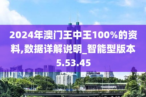 2024年澳门王中王100%的资料,数据详解说明_智能型版本5.53.45