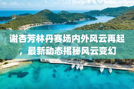 谢杏芳林丹赛场内外风云再起，最新动态揭秘风云变幻