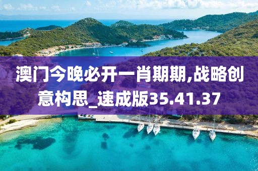 澳门今晚必开一肖期期,战略创意构思_速成版35.41.37
