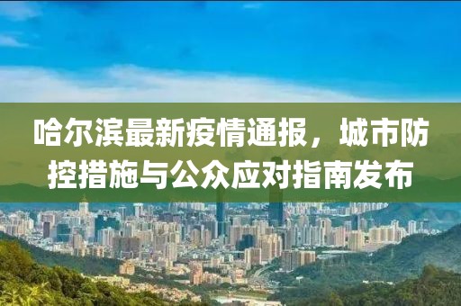哈尔滨最新疫情通报，城市防控措施与公众应对指南发布