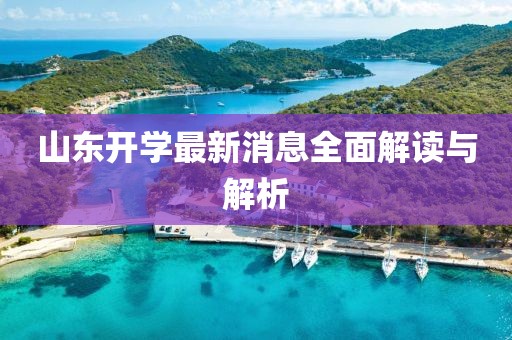 山东开学最新消息全面解读与解析