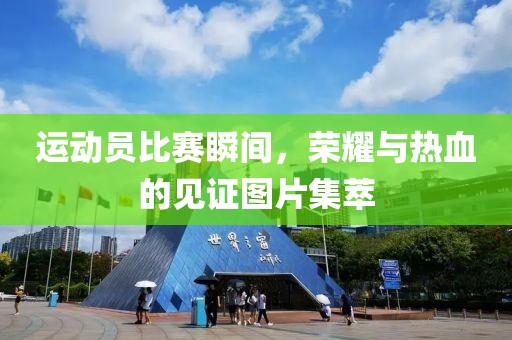 2025年2月 第342页