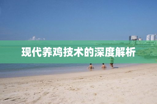 现代养鸡技术的深度解析