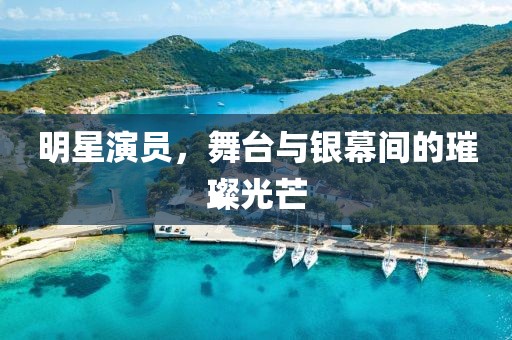 明星演员，舞台与银幕间的璀璨光芒