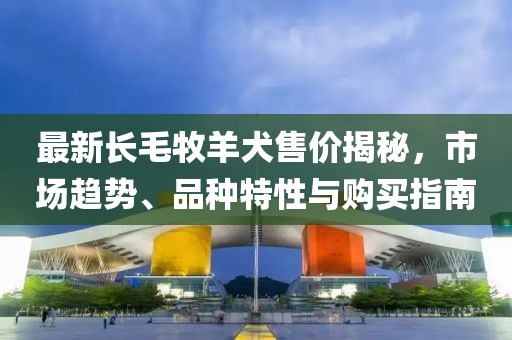 最新长毛牧羊犬售价揭秘，市场趋势、品种特性与购买指南