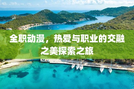 全职动漫，热爱与职业的交融之美探索之旅