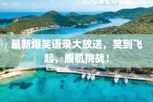 最新爆笑语录大放送，笑到飞起，腹肌挑战！