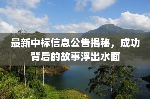 最新中标信息公告揭秘，成功背后的故事浮出水面