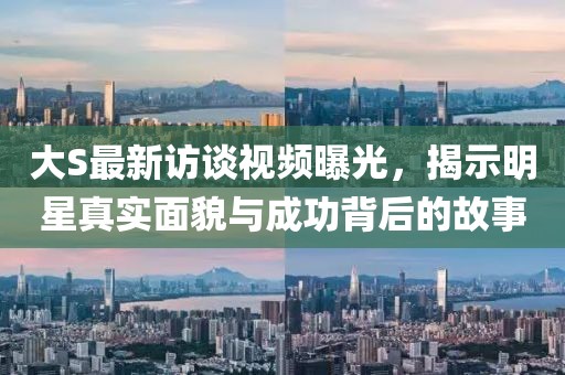 大S最新访谈视频曝光，揭示明星真实面貌与成功背后的故事