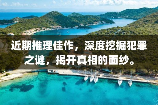 近期推理佳作，深度挖掘犯罪之谜，揭开真相的面纱。