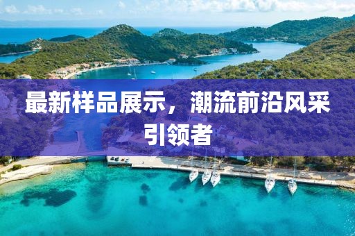 最新样品展示，潮流前沿风采引领者