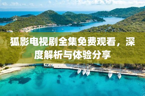 狐影电视剧全集免费观看，深度解析与体验分享