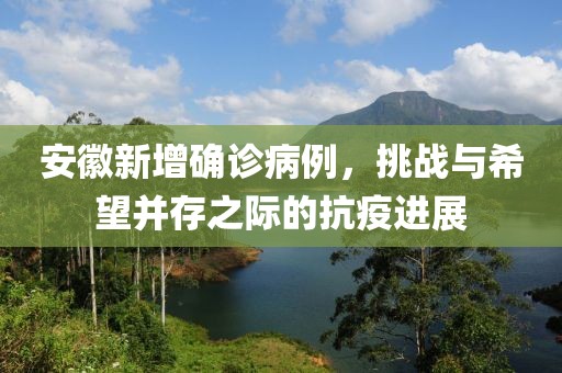 安徽新增确诊病例，挑战与希望并存之际的抗疫进展