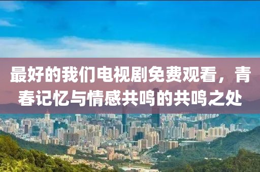 最好的我们电视剧免费观看，青春记忆与情感共鸣的共鸣之处
