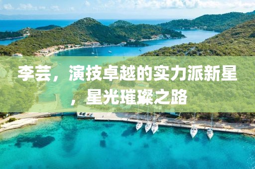 李芸，演技卓越的实力派新星，星光璀璨之路