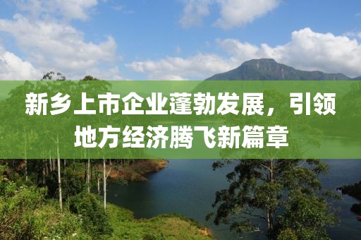 新乡上市企业蓬勃发展，引领地方经济腾飞新篇章