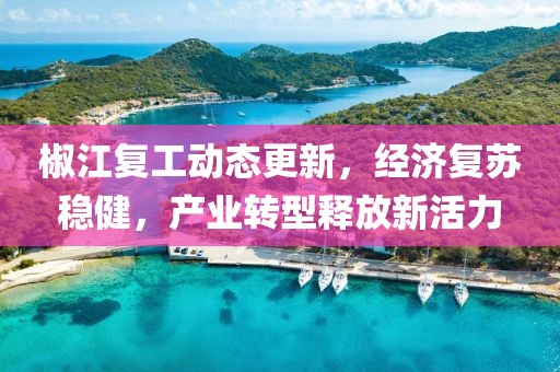 椒江复工动态更新，经济复苏稳健，产业转型释放新活力