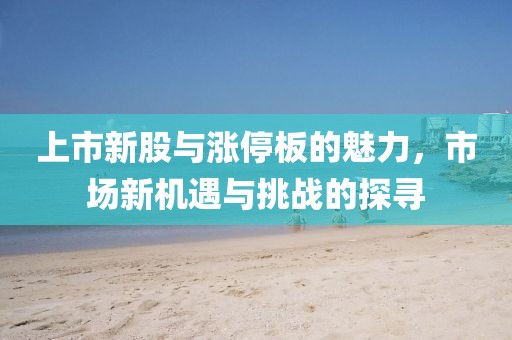 上市新股与涨停板的魅力，市场新机遇与挑战的探寻