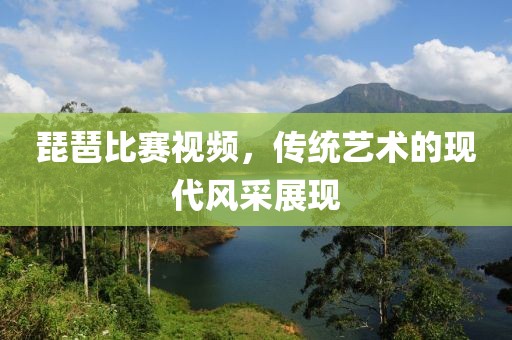 琵琶比赛视频，传统艺术的现代风采展现