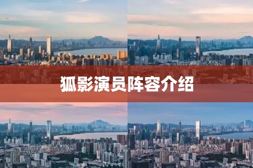 狐影演员阵容介绍
