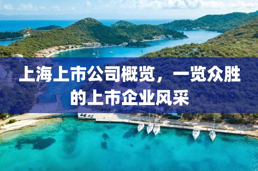 花开无言 第12页