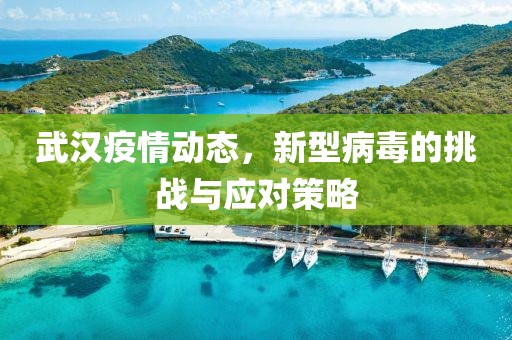 武汉疫情动态，新型病毒的挑战与应对策略
