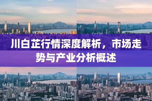 川白芷行情深度解析，市场走势与产业分析概述