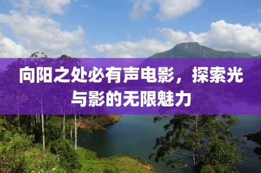 向阳之处必有声电影，探索光与影的无限魅力