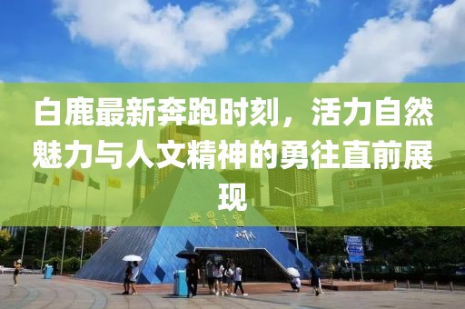 白鹿最新奔跑时刻，活力自然魅力与人文精神的勇往直前展现