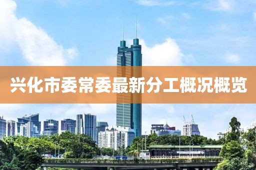 兴化市委常委最新分工概况概览