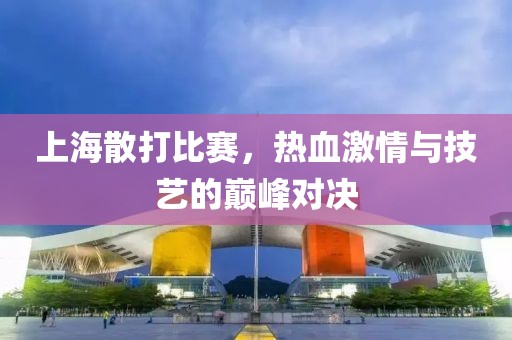 上海散打比赛，热血激情与技艺的巅峰对决