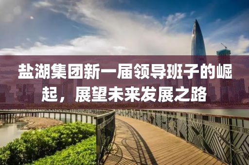盐湖集团新一届领导班子的崛起，展望未来发展之路