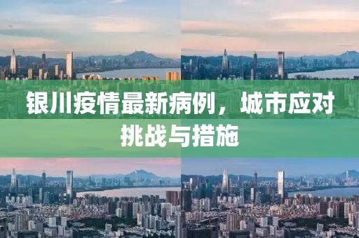 银川疫情最新病例，城市应对挑战与措施