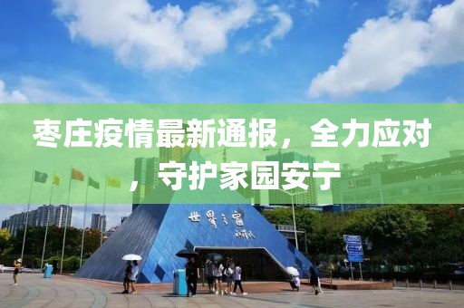 枣庄疫情最新通报，全力应对，守护家园安宁